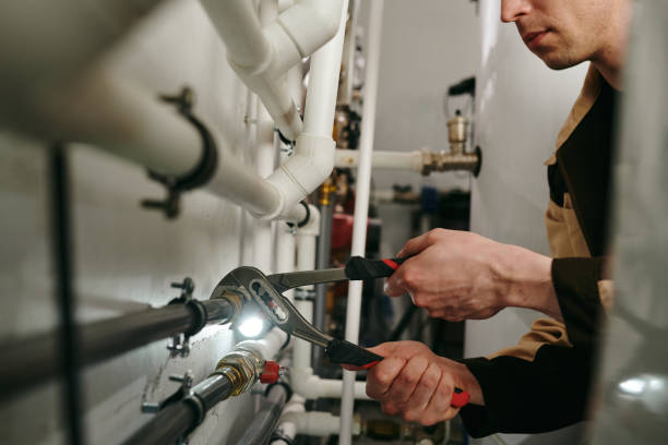 Best Plumbing Inspection Services  in Ford Heights, IL