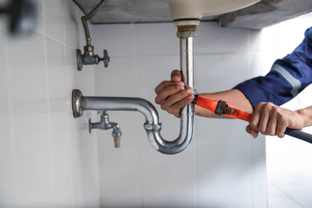 Best Leak Detection Services  in Ford Heights, IL